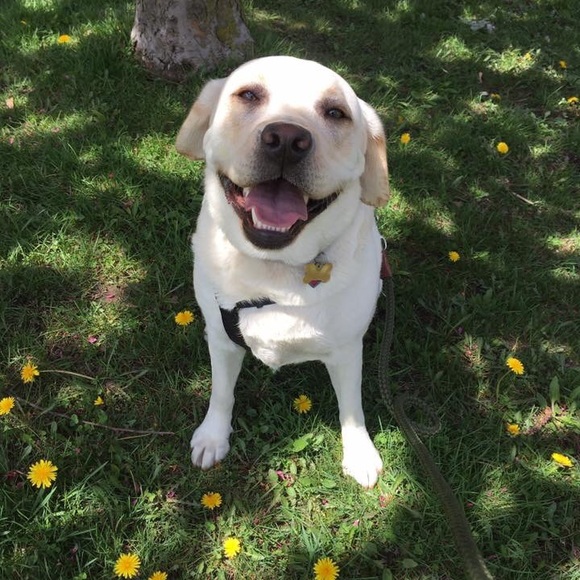 Meet your Posher, Nancy - Picture 4 of 12